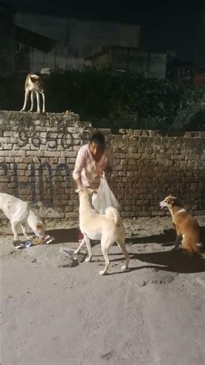 #viral #trending #explorepage#reels