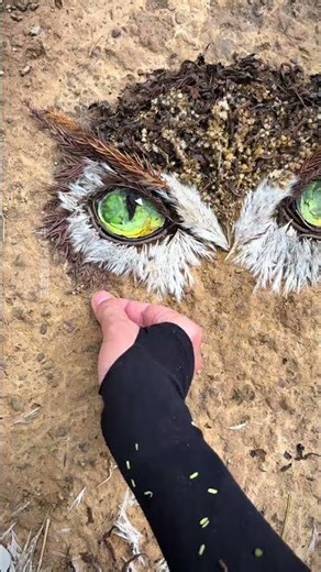 Creating a Realistic Owl Art from Nature | Amazing Forest Ground Painting 🦉🌿