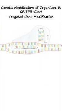 CRISPR-Cas9 – Targeted Genetic Modification of Organisms 3 #molecular biology #genetics