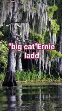 WWE "big cat" Ernie ladd tribute #wrestling #wwf