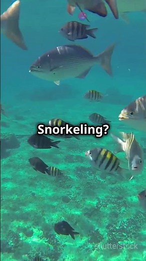 Roatan Adventures: Unforgettable Island Escapades!