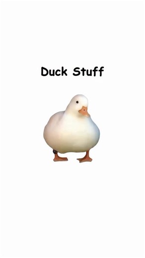 14K views · 635 reactions | Duck stuff (explained by ducks) | Diploma Duck | Facebook