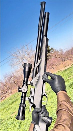 T-Rex Front Sight — Full Range Test & Review #airguns #airsoft #snowpeak