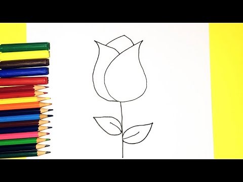 Cómo Dibujar Una Rosa Super Fácil Paso a Paso