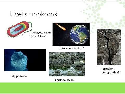 Jordens utveckling och livets uppkomst