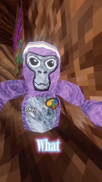 Bro I haven’t posted or played in 2 months 😭🙏#gorillatag #gorrila #funny #vr #viral