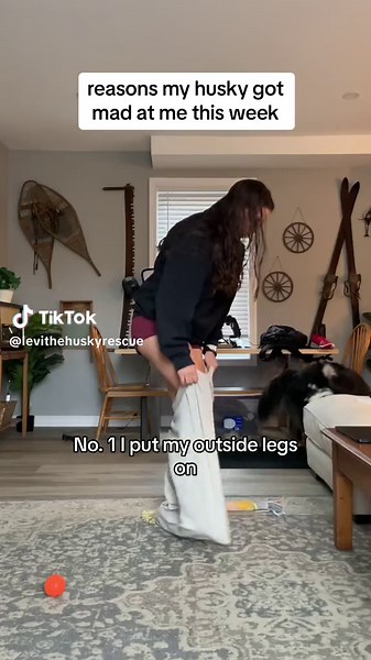 Reasons My Husky Got Mad at Me | Dramatic Dog's Tantrums