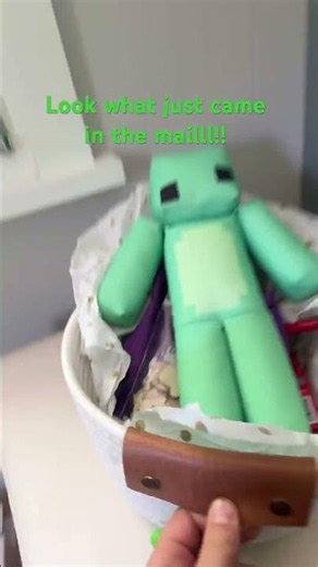 Just got my Minecraft skin plushie #minecraft #plushies #aliens #viral #music #yayayay