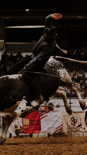 What does Storm do for money? Wrong answers only because this page is family friendlyyyyy SEBRA Bull Riding and Barrel Racing #rodeo #rodeophotographer #sebra #sebrabulls #westernphotography #bullriding #fyp | Buckin B Photography