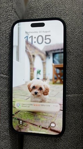 Let’s not Normalize it 🤣