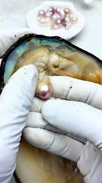 How are freshwater pearls mussel formed in shells? how to make perler bead necklace #jewelry