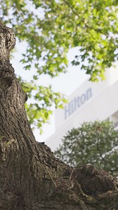 Experience the breathtaking panoramic views of Istanbul from our newly renovated rooms. Book your stay now and take advantage of discounts up to 20%! | Hilton Istanbul Bosphorus