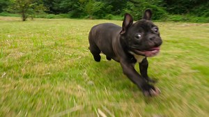 Follow Joy for your daily dose of goodness! | JoySuds