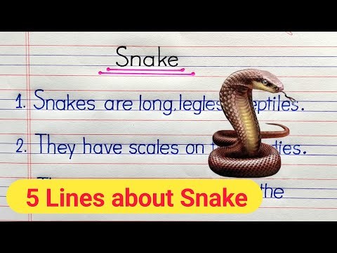 5 lines essay on the snake in English | The snake essay writing | Essay on the snake 5 lines