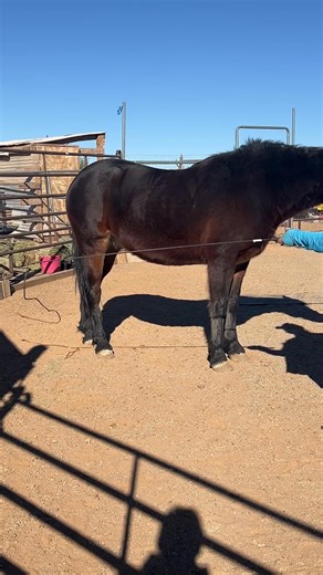 String around his legs for the first time | Scout's Trail