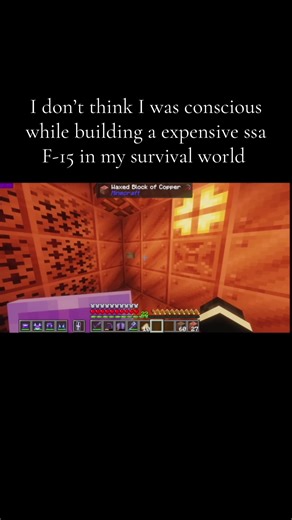 F-15 in Minecraft #fyp #funny #genuinely #minecraft #F-15