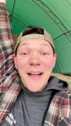 30K views · 668 reactions | do you think I can set a world record for the most expensive hay in the world?! | Hayden Fox | Facebook