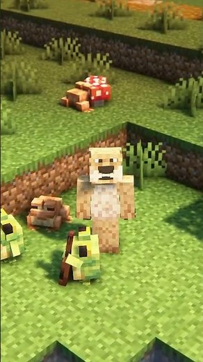 I added FROG VILLAGE in Minecraft! [Ribbits]