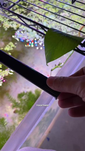 The Fun of Fishkeeping: My Aquarium Adventures