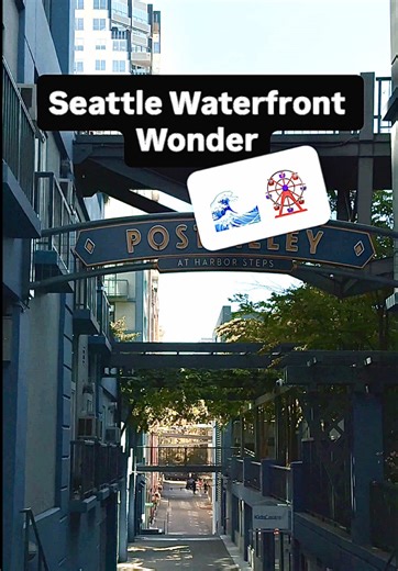 “Seattle’s wheel lights up the night ✨” Nothing beats the waterfront breeze, skyline glow, and a ride that takes you above the city. The Great Wheel makes Seattle’s pier feel straight out of a postcard. 🌊 #SeattleWaterfront #TravelGoals #CityByTheSea #ExploreSeattle #PierMagic