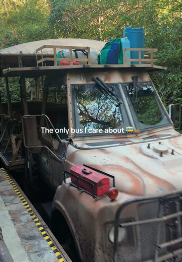 Disney Animal Kingdom Bus Adventure