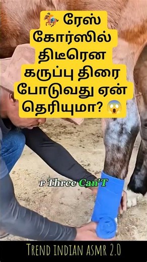 🐴 குதிரை பந்தயத்தில் கருப்பு திரை போடுவது ஏன்? 😱 திகைக்க வைக்கும் உண்மைகள்! 🚨 Horse Racing Secrets ✨