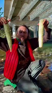 463 reactions · 787 shares | Ditch the disposable sponges!  Grow your own natural, eco-friendly sponge with The Amazing Luffa Gourd. This fast-growing vine produces long, fibrous gourds perfect for gentle scrubbing & exfoliating. Try it today and get ready to harvest your very own beauty tool!  | Baker Creek Seeds | Facebook