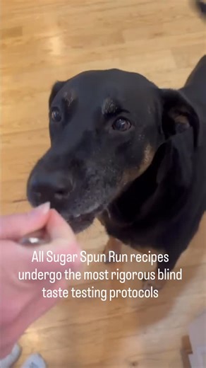 Samantha Merritt on Instagram: "Rigorous evaluation. Zero thumbs. #baking #recipe #dog"