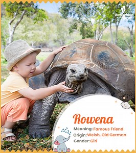 Rowena Name Meaning: Ultimate Origins, History, And Popularity