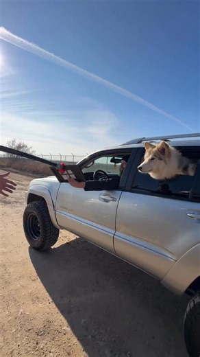 Connor Guldner on Instagram: "Casual wolf in da 4Runner 🐺 🚗 💨 Thank you so much @toddhamilton_ut ! 4Runner is sic any your dog is so majestic. As always, free Lightroom preset pack in the bio ❤️ #4runner #dogs #wolf #toyota4x4"