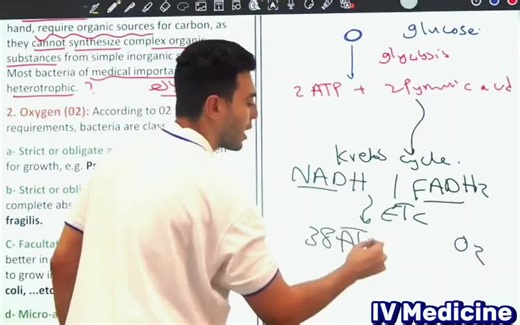 Essential Microbiology Concepts for Medical Students