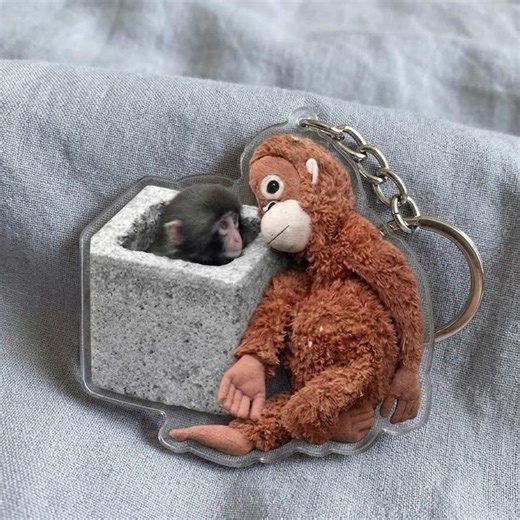 Punch Monkey Acrylic Keychain, Adorable Baby Monkey Gift, Plush Toy Keepsake for Animal Lovers, 2D Flat Acrylic Keychain