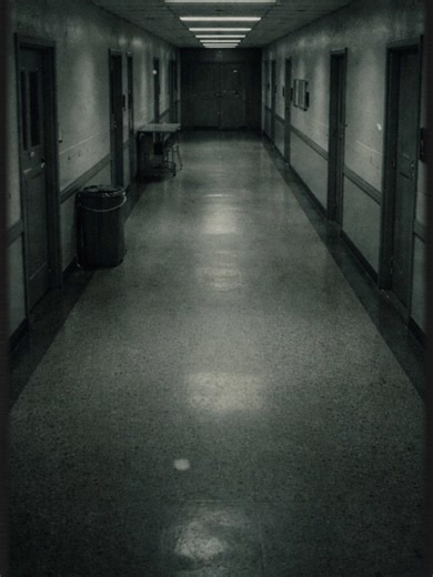 CASE FILE 017 — Delayed Feed: Unreleased Paranormal Encounter