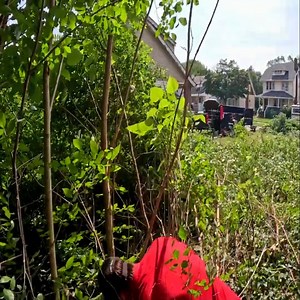 83K views · 3.4K reactions | What Started as a Yard Cleanup Ended with a TRIP to the ER Part 2 | Lawn Care Services | Facebook