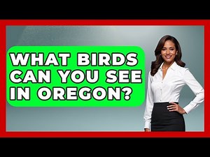 What Birds Can You See In Oregon? - Bird Watching Diaries