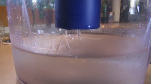 Can a water filter combat blue-green algae?