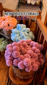 Stop out to the Barn this weekend and see what’s new! Open Saturday 10 to 6 and Sunday Noon to 5. | Barn Festival