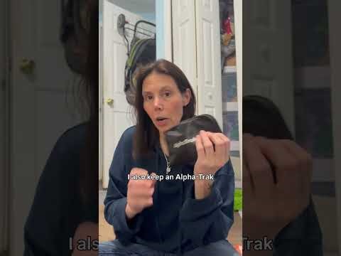 Insulinoma Ferret, Screaming Seizures