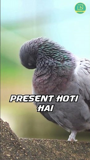 How Do Birds Fly? 🕊️ | Science Behind Bird Flight Explained by Ritik Sir | Learn N Prep #shorts