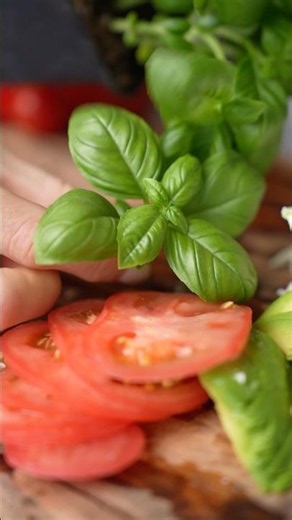 Bruschetta with Mozzarella, Avocado & Tomato 🥑🍅 #bruschetta #avocadotoast #summerrecipes