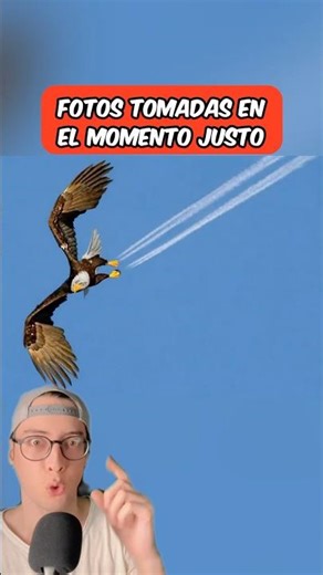 Photos taken at the right moment 😱 #shorts