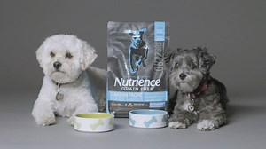 8.7K views · 105 reactions | Want the nutritional benefits of a raw diet in a more convenient and easy-to-use formula? Join us at your local PetSmart this Saturday January 23rd from 10am-2pm to learn more about NEW Nutrience Subzero and how you can see the #SubzeroDifference in your pets. | PetSmart | Facebook