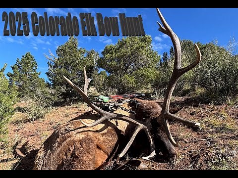 2025 Colorado Elk Bow Hunt