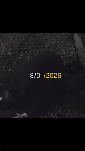 ‎وقت‎ on Instagram: "Insomnia 1997年の映画『タイタニック』は、ジャックとローズの運命的な愛を通じて、悲劇の霧の中でも続く感情の深さを示す作品です。ジェームズ・キャメロン監督のスタイルは、派手な演出よりもキャラクターの感情に焦点を当て、私の心を何度見返しても泣かせます。船が沈むシーンだけでなく、二人が互いを見つめ合う瞬間がより記憶に残ります。 セリーヌ・ディオンの『My Heart Will Go On』 は、これらの感情を完璧に完成させます。最初は穏やかですが、ある部分で自然に心臓が激しく鼓動する感覚を与えます。特に後半のボーカルが、映画のジャックとローズの最後のシーンと重なり、心を悲しくさせます。多くの人がこの曲が流れると、知らず知らずのうちにシーンが浮かぶと言うように、映画と音楽が自然に結びついた曲です。1998年のアカデミー賞は人気だけではなく、聴く者に「時代を感じさせる力」を与え、時が経っても色褪せないパワーを持っています。静かな夜に一人で映画を観終えたような気持ちになります。この作品は、悲劇の中でも続く感情の深さを、ジャックとローズの愛を通じ