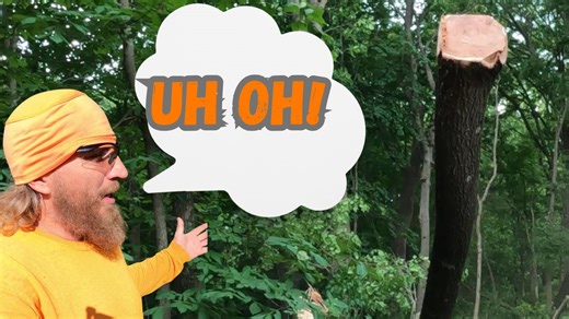 After I let this tree go, it almost does a flip! | Boys In The Woods