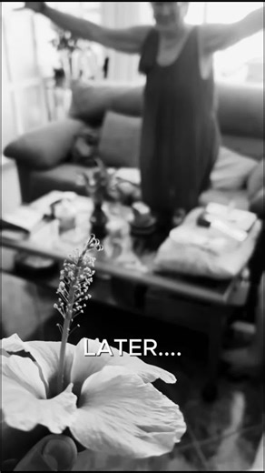 vlog 2✅✅#fyp #parati #foryoupag #humor #risa #likе #tigre #viral #si #menorca #blog #vlog