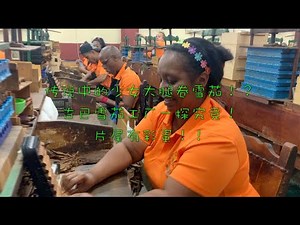 2020古巴雪茄节大放送系列（六）：传说中的少女大腿上卷雪茄！？古巴雪茄工厂一探究竟！