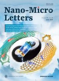 Nanoparticle-Mediated Lipid Metabolic Reprogramming of T Cells in Tumor Microenvironments for Immunometabolic Therapy - Nano-Micro Letters
