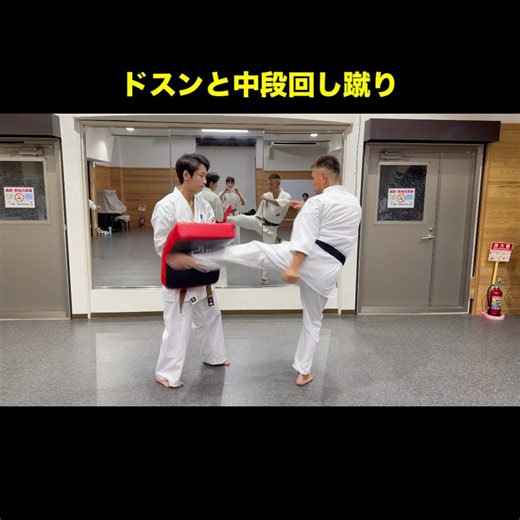 極真会‼️中段回し蹴り