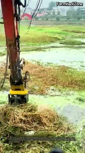 중장비 수로 제초 작업 현장 #worker #process #heavyequipment #mowing #drainage
